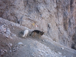 20040722Roseng 078 over Molignonpass