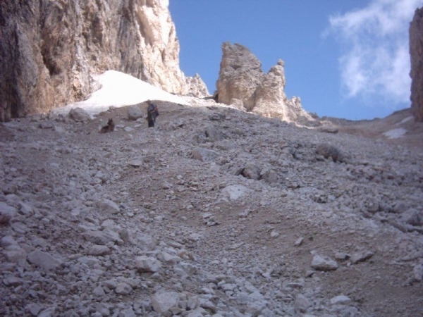 20040722Roseng 080 over Molignonpass