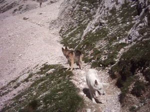 20040722Roseng 084 over Molignonpass