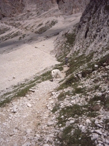 20040722Roseng 086 over Molignonpass