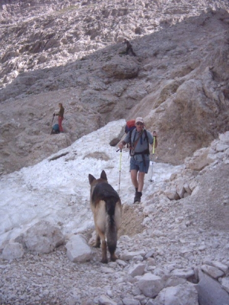 20040722Roseng 088 over Molignonpass