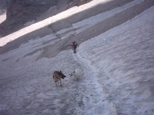 20040722Roseng 091 over Molignonpass