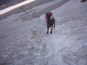 20040722Roseng 093 over Molignonpass