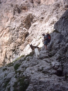 20040723Roseng 169 ScaletteWeg