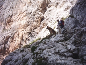 20040723Roseng 170 ScaletteWeg