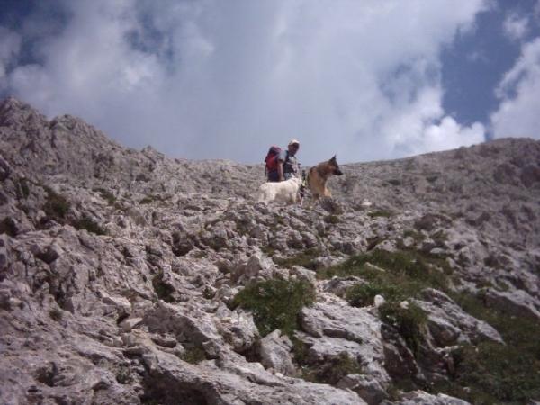 20040723Roseng 177 ScaletteWeg