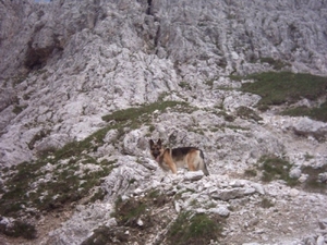 20040723Roseng 181 ScaletteWeg