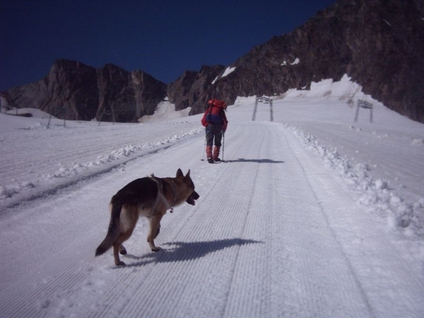 20040726Stubai 211 naarStubaierWildspitze