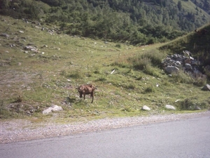 20040728Stubai 280 Terugweg