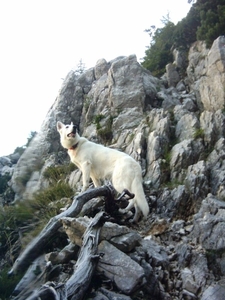 20040823 Triglav Jo+Ora 012 Tominsek-Weg naar Triglavhut§