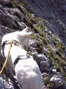 20040823 Triglav Jo+Ora 018 Tominsek-Weg naar Triglavhut§