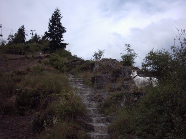 20060604 Boppard 001 Klettersteig