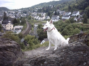 20060604 Boppard 006 Klettersteig