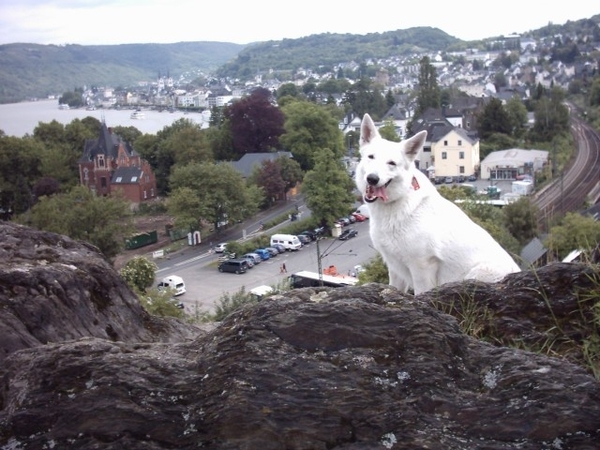 20060604 Boppard 007 Klettersteig