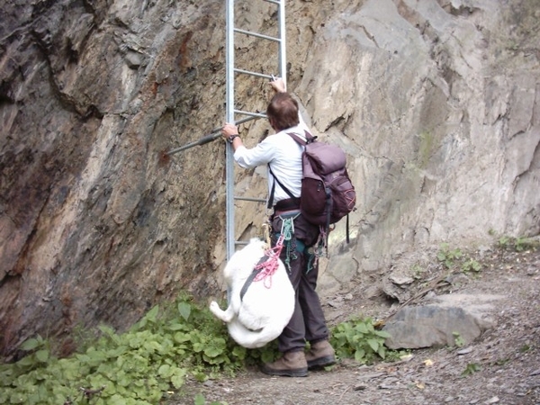 20060604 Boppard 017 Klettersteig