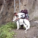 20060604 Boppard 018 Klettersteig