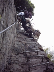 20060604 Boppard 036 Klettersteig