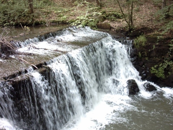 20060605 Boppard 080 Ehrbachklamm
