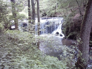 20060605 Boppard 082 Ehrbachklamm