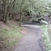 20060605 Boppard 084 Ehrbachklamm