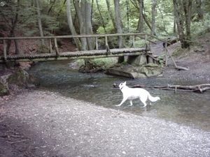 20060605 Boppard 085 Ehrbachklamm