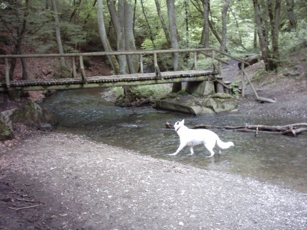 20060605 Boppard 085 Ehrbachklamm