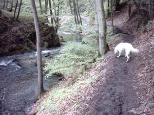 20060605 Boppard 088 Ehrbachklamm