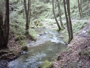 20060605 Boppard 091 Ehrbachklamm