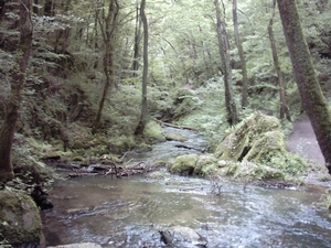 20060605 Boppard 092 Ehrbachklamm