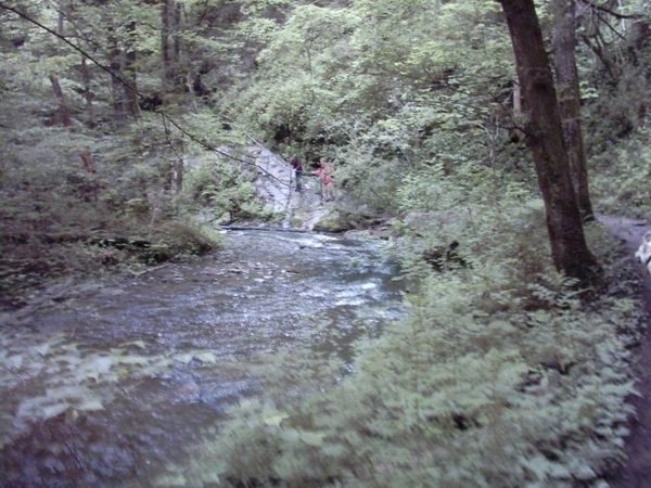 20060605 Boppard 095 Ehrbachklamm