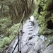 20060605 Boppard 097 Ehrbachklamm