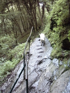 20060605 Boppard 097 Ehrbachklamm