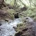 20060605 Boppard 099 Ehrbachklamm