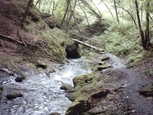 20060605 Boppard 099 Ehrbachklamm