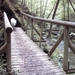 20060605 Boppard 100 Ehrbachklamm