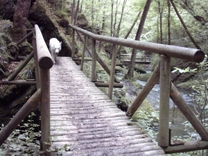 20060605 Boppard 100 Ehrbachklamm