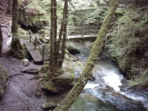 20060605 Boppard 101 Ehrbachklamm