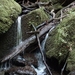 20060605 Boppard 102 Ehrbachklamm