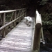 20060605 Boppard 104 Ehrbachklamm