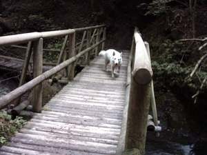 20060605 Boppard 104 Ehrbachklamm