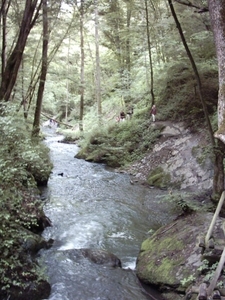 20060605 Boppard 106 Ehrbachklamm