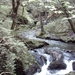 20060605 Boppard 110 Ehrbachklamm