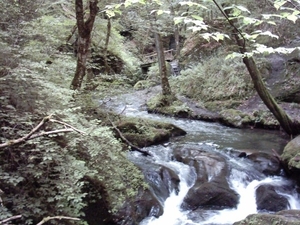 20060605 Boppard 110 Ehrbachklamm