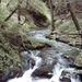 20060605 Boppard 113 Ehrbachklamm