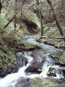 20060605 Boppard 113 Ehrbachklamm