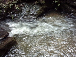 20060605 Boppard 114 Ehrbachklamm