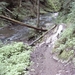 20060605 Boppard 115 Ehrbachklamm