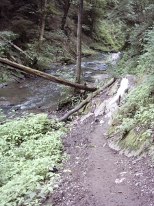 20060605 Boppard 115 Ehrbachklamm