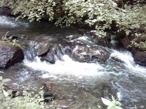 20060605 Boppard 116 Ehrbachklamm