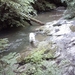 20060605 Boppard 118 Ehrbachklamm